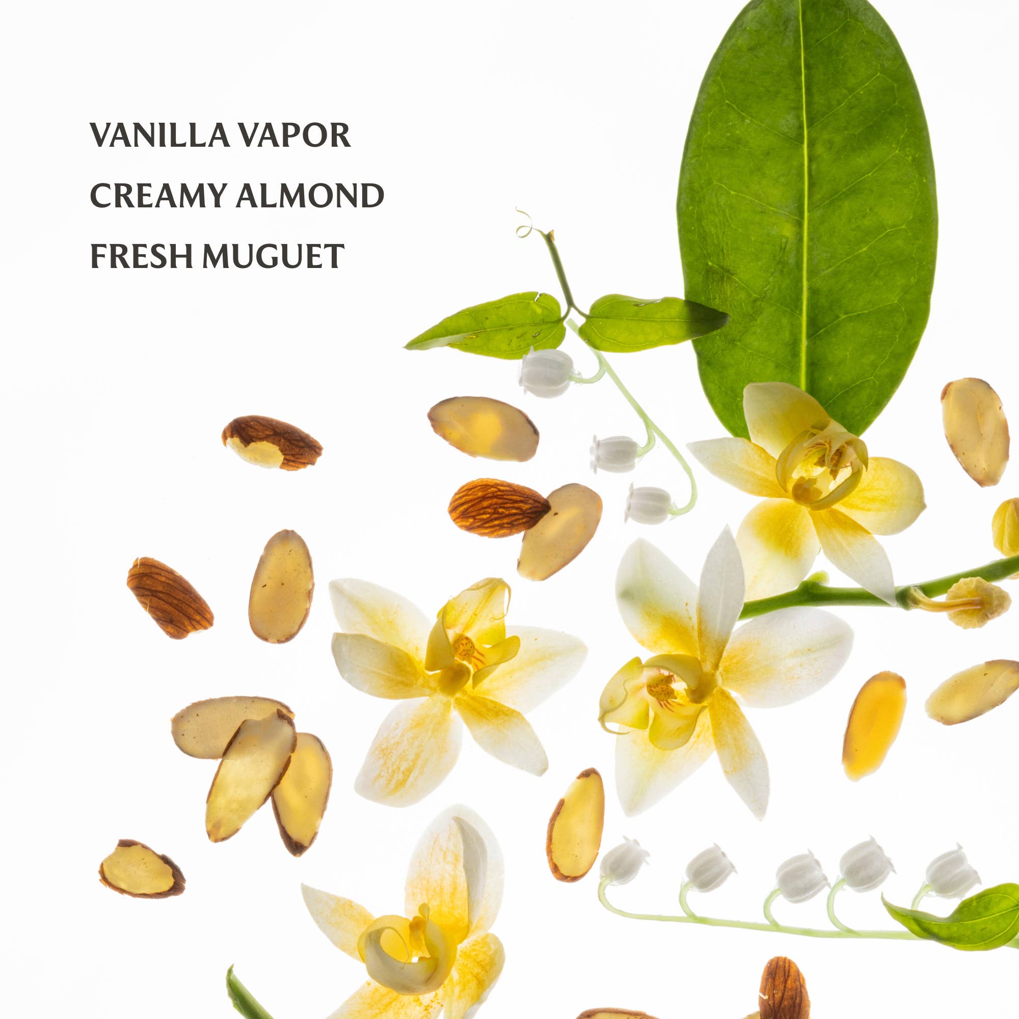 Touchland - Power Essence Body & Hair Fragrance Mist - Vanilla Velvet