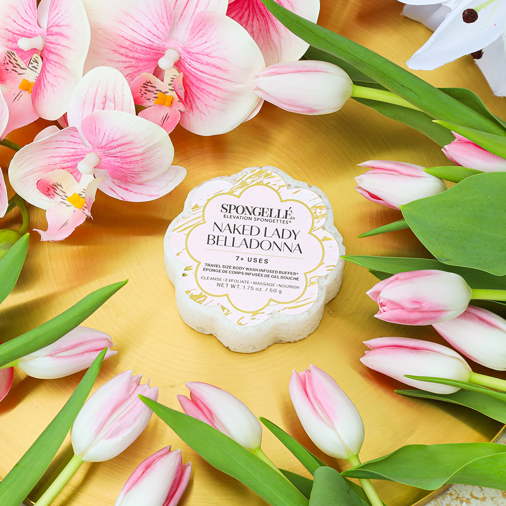 Spongellé - Naked Lady Belladonna Spongette