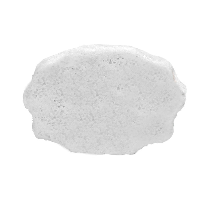 Spongellé - Coconut Verbena Pedi Buffer