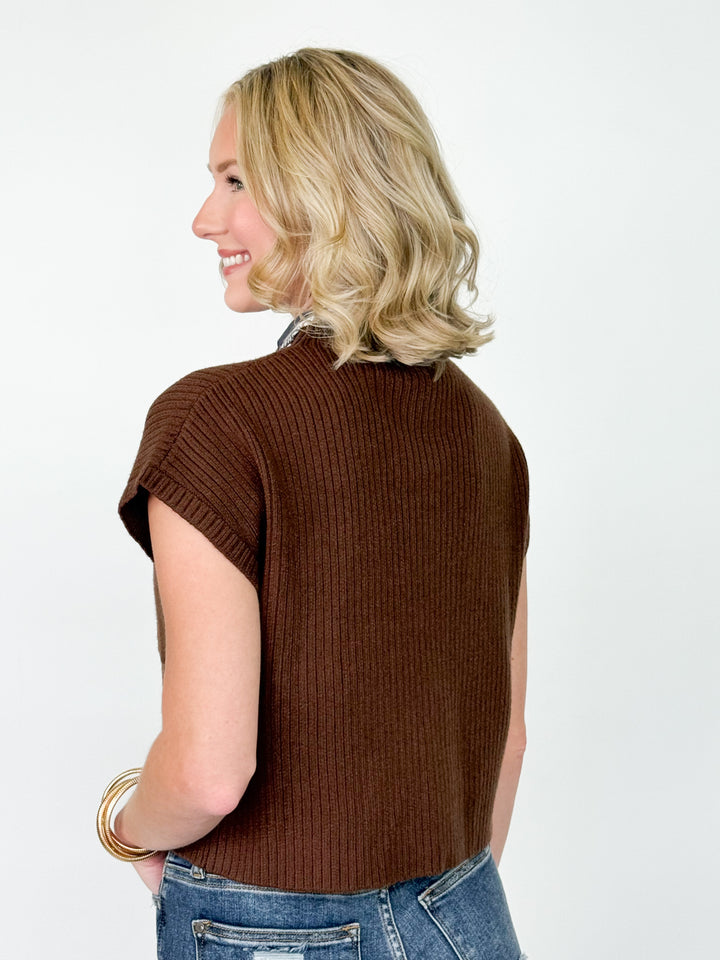 Sandra - Mock Neck Knit Top (Brown)
