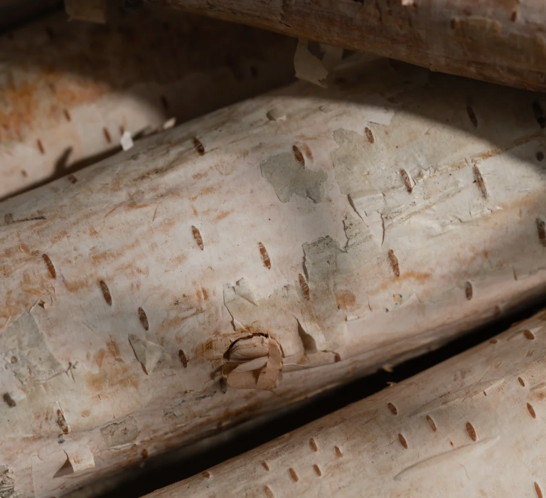 Pura Refill - Banana Birch (Pura)