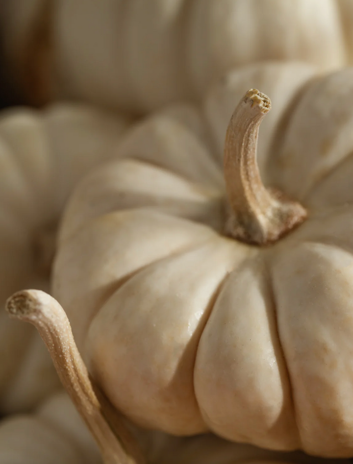 Pura Refill - White Pumpkin