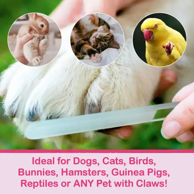 Glass Nail File - Cactus