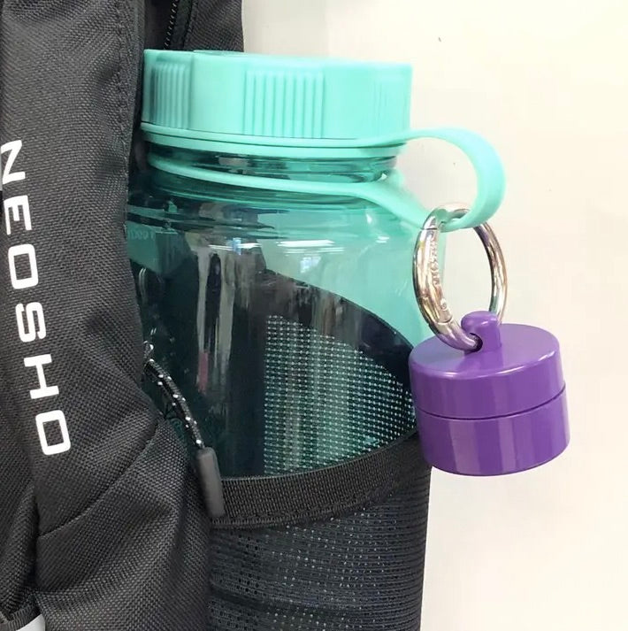 Lion Latch Jewelry/Pill Tote - Purple