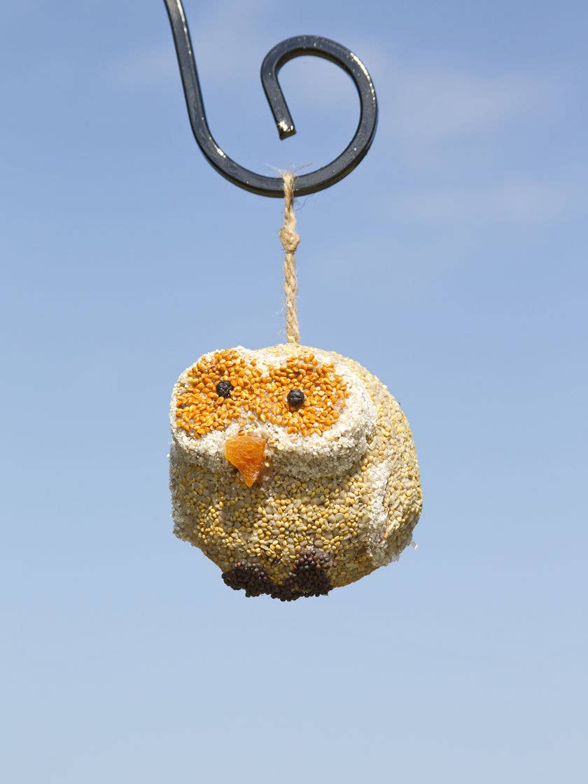 Mr. Bird - Woodland Friends Bird Treats