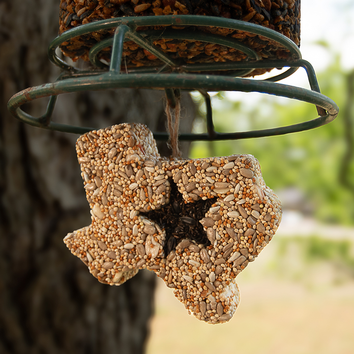Mr. Bird - Texas Shaped Lone Star Bird Seed