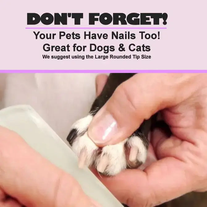 Glass Nail File - Cactus