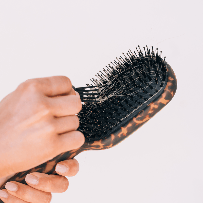 Teleties - Boar Bristle Hair Brush (Tortoise)