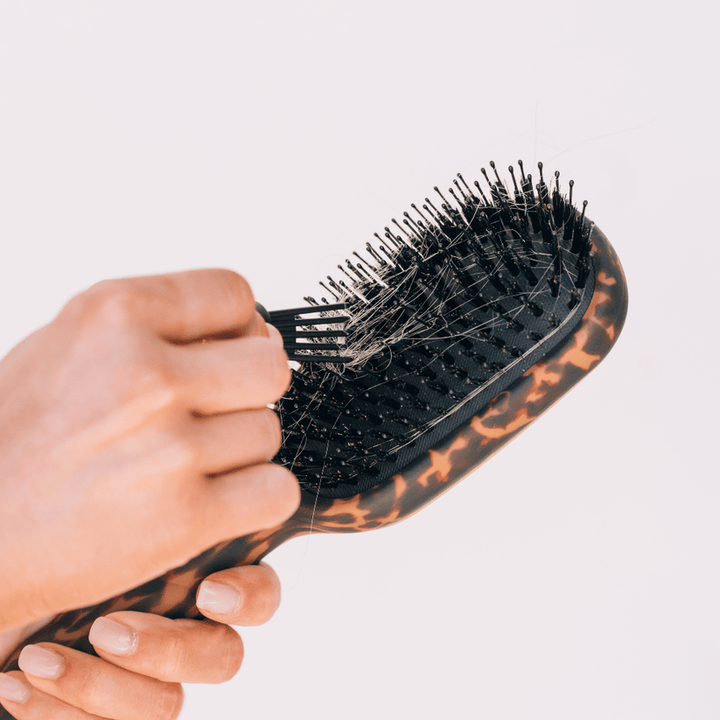 Teleties - Boar Bristle Hair Brush (Tortoise)