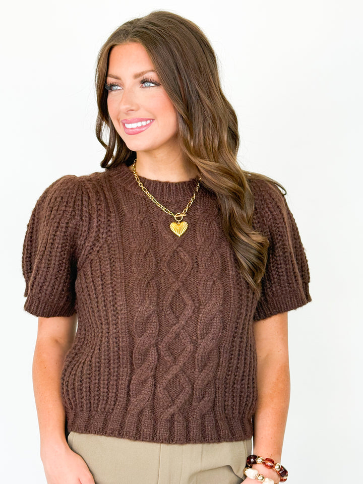 Angie - Puff Sleeve Knit Sweater (Brown)