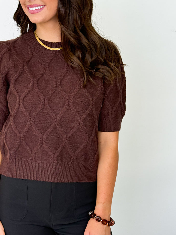 Dorothy - Short Sleeve Knit Top (Brown)
