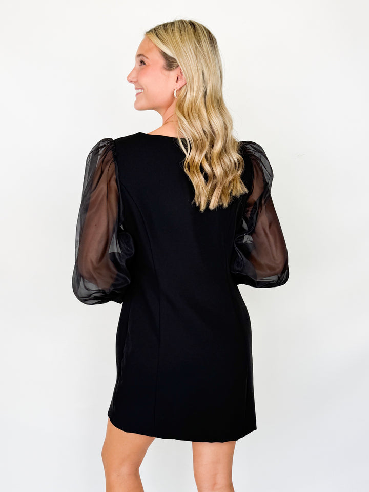 Charlotte - Organza Mini Dress