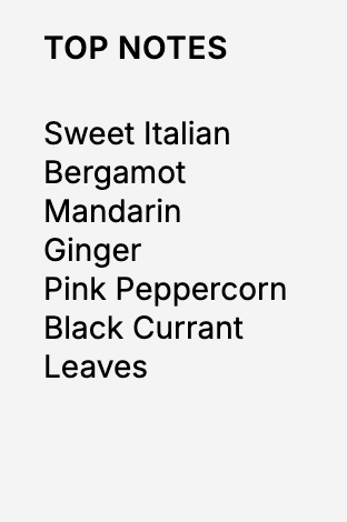 Laundry Sauce - Detergent Pods - Italian Bergamot