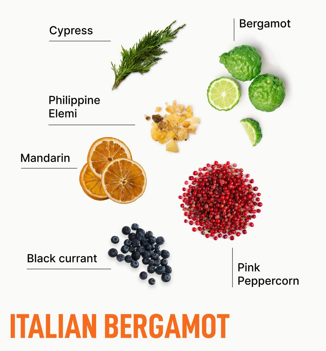 Laundry Sauce - Dryer Sheets - Italian Bergamot