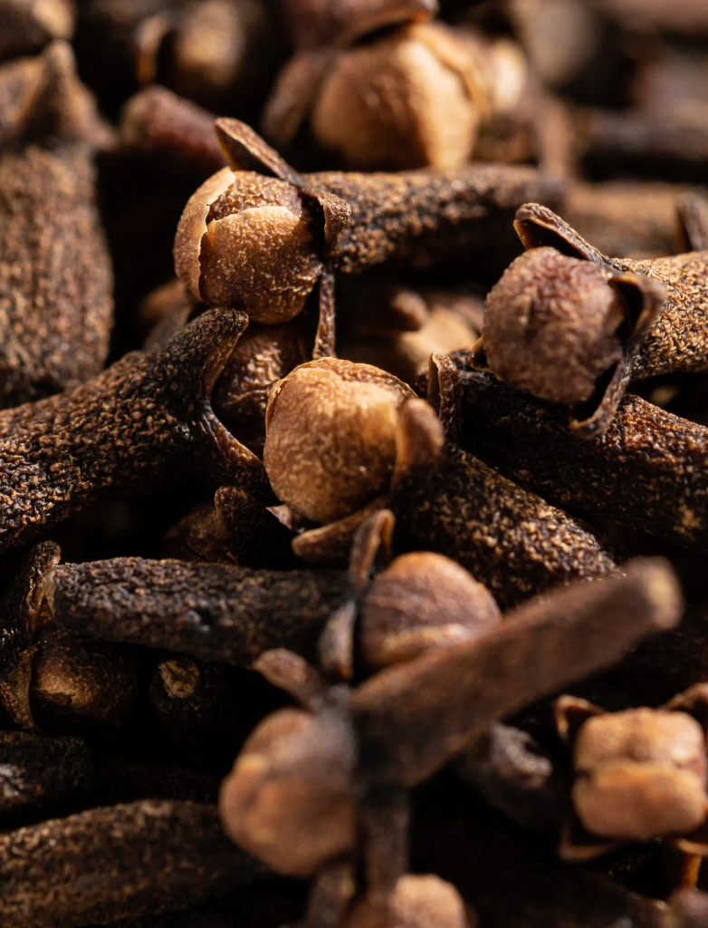 Pura Refill - Caramel + Clove (Becki Owens)