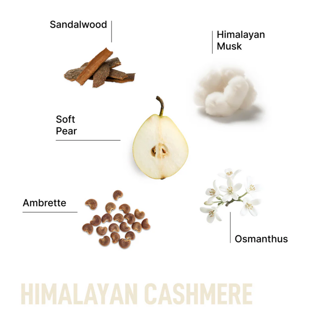 Laundry Sauce - Laundry Detergent Pods - Himalayan Cashmere
