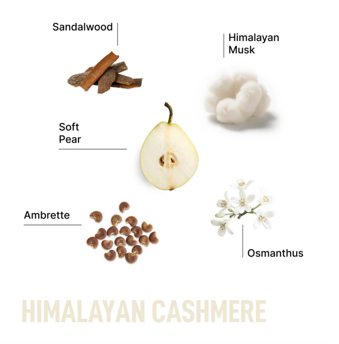 Laundry Sauce - Dryer Sheets - Himalayan Cashmere