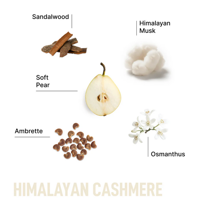 Laundry Sauce - Laundry Scent Booster - Himalayan Cashmere