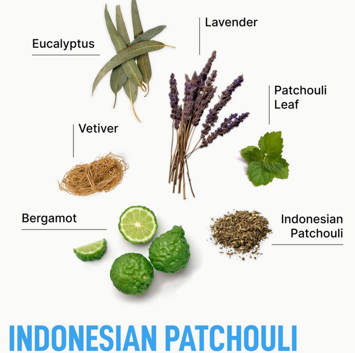 Laundry Sauce - Fabric Refresher Spray - Indonesian Patchouli