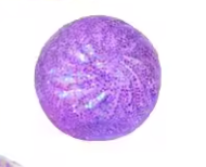Squishy - Mystery Mini Dumpling - Glitter Beads