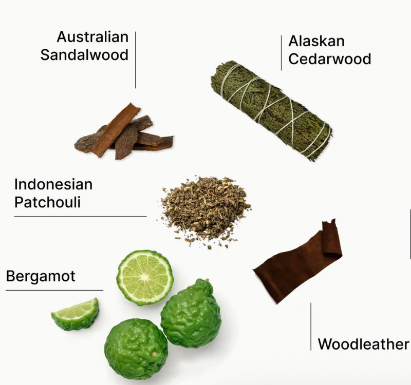 Laundry Sauce - Fabric Softener - Australian Sandalwood