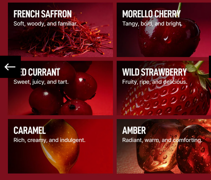 Laundry Sauce - Fabric Softener - French Saffron