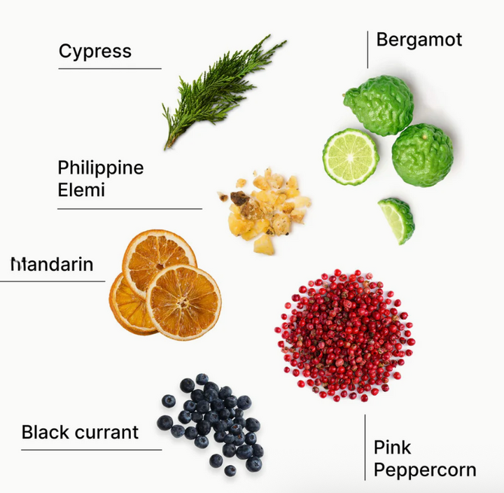 Laundry Sauce - Fabric Softener - Italian Bergamot