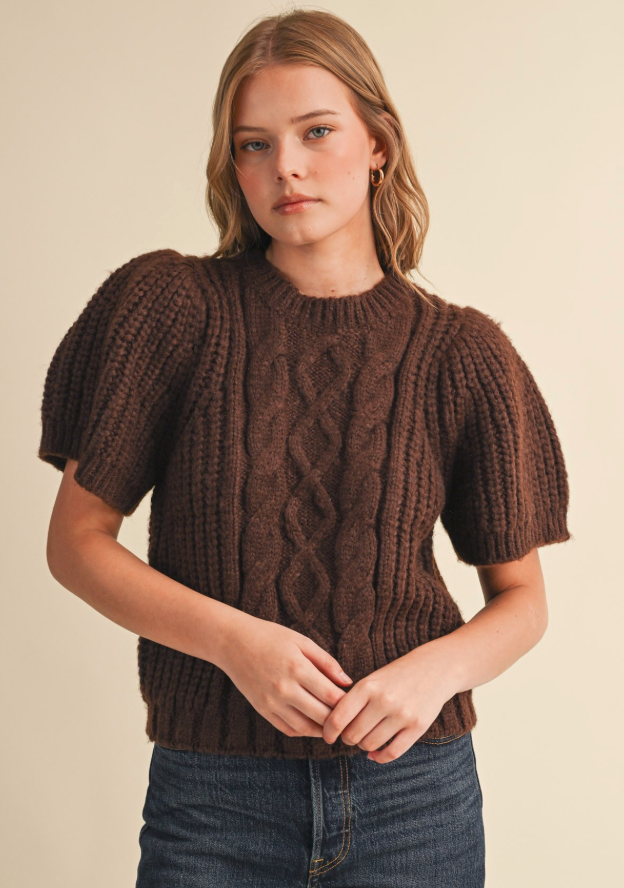 Angie - Puff Sleeve Knit Sweater (Brown)