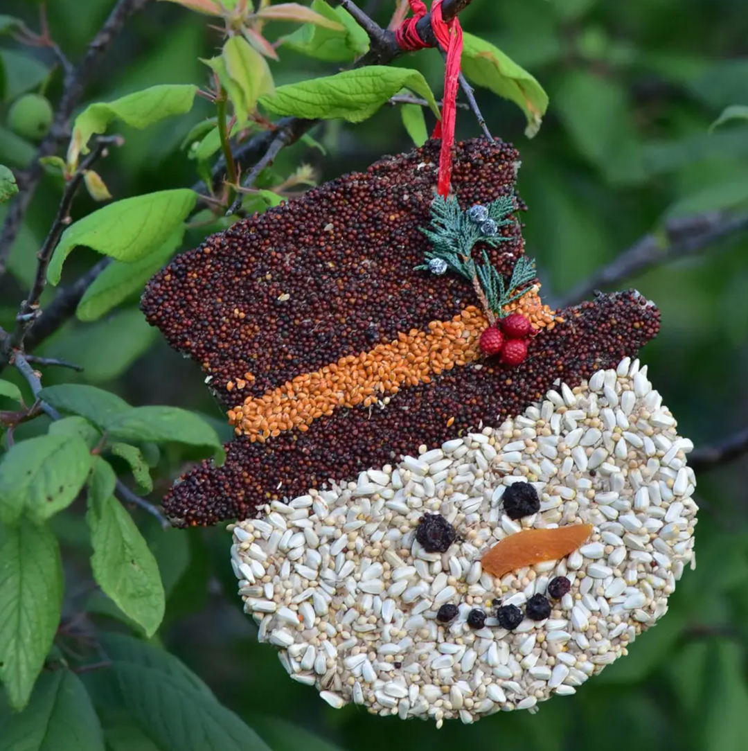 Mr. Bird - Frosty Christmas Cookie