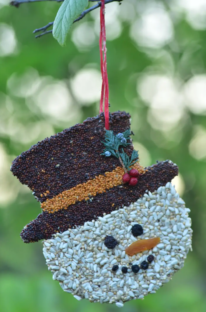 Mr. Bird - Frosty Christmas Cookie
