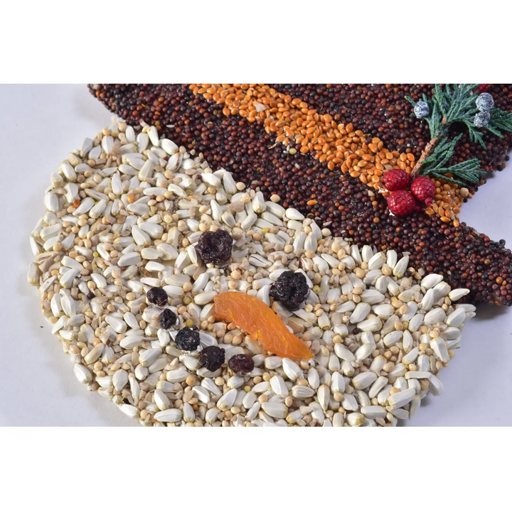 Mr. Bird - Frosty Christmas Cookie