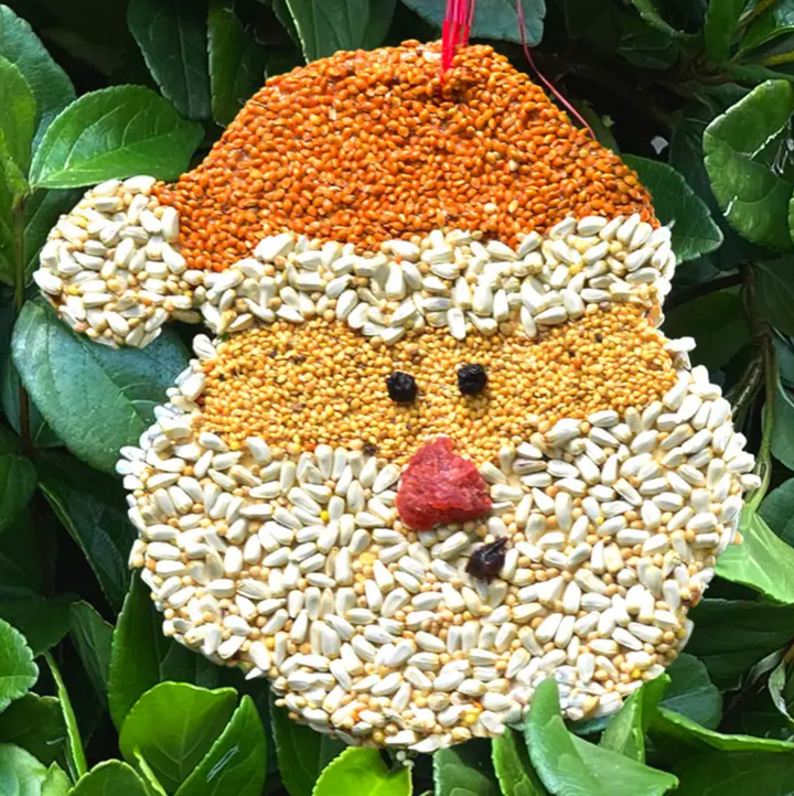 Mr. Bird - Santa Christmas Cookie