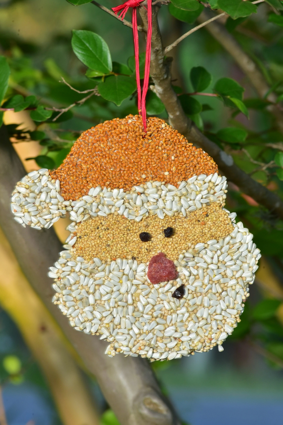 Mr. Bird - Santa Christmas Cookie