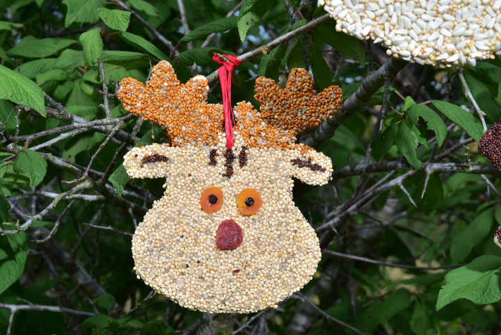 Mr. Bird - Reindeer Christmas Cookie