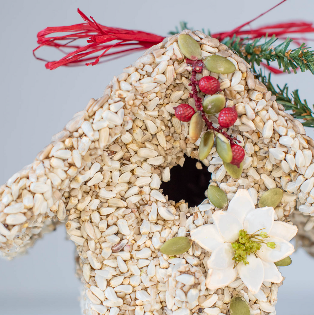 Mr. Bird - Poinsettia Birdie Cottage (Poinsettia)