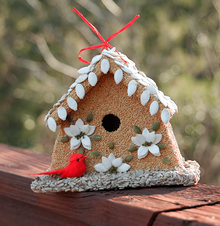 Mr. Bird - Poinsettia House
