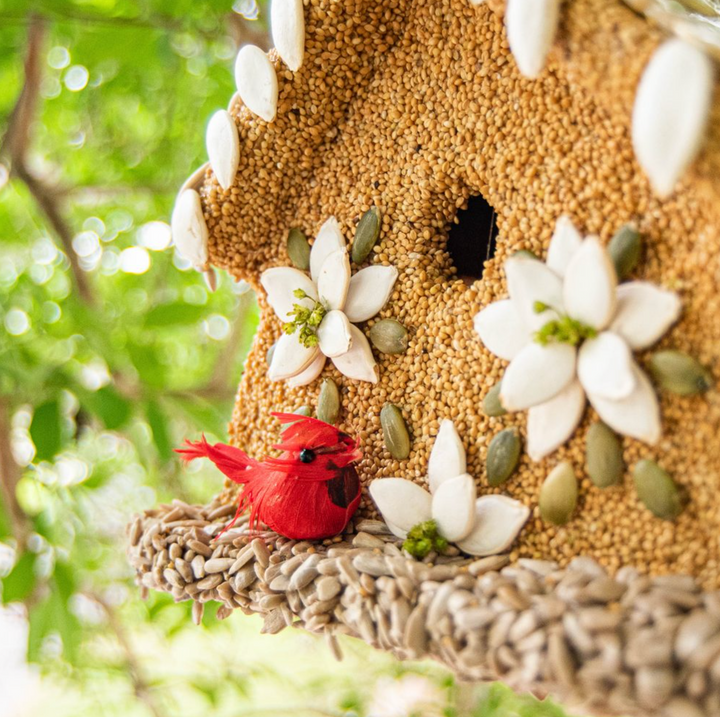 Mr. Bird - Poinsettia House