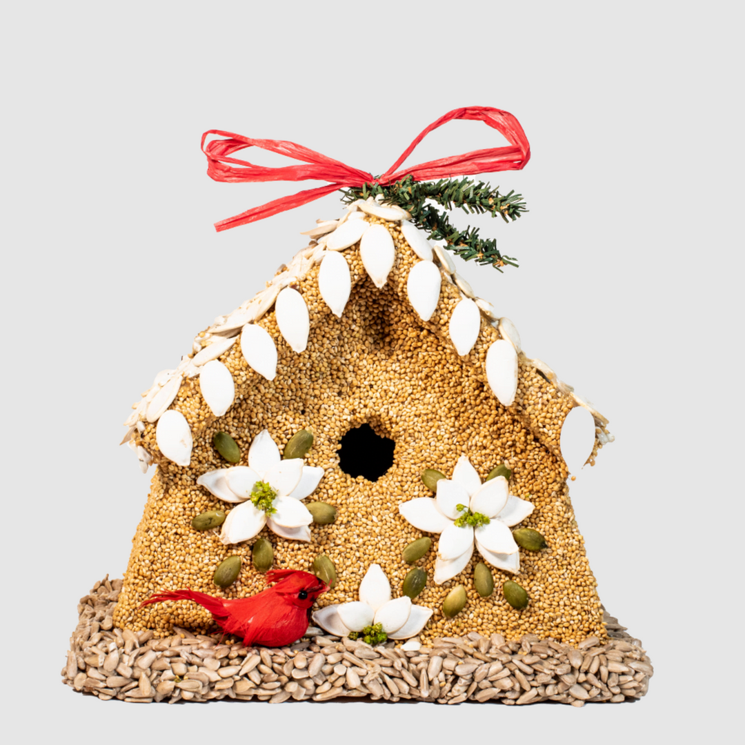 Mr. Bird - Poinsettia House