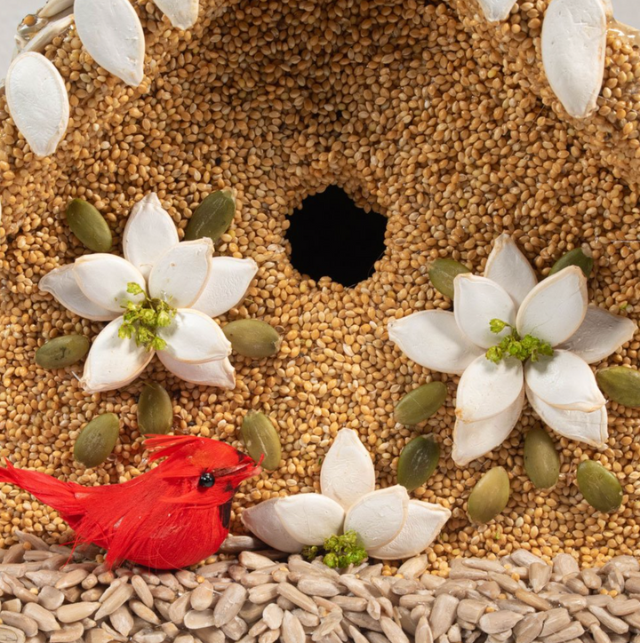 Mr. Bird - Poinsettia House