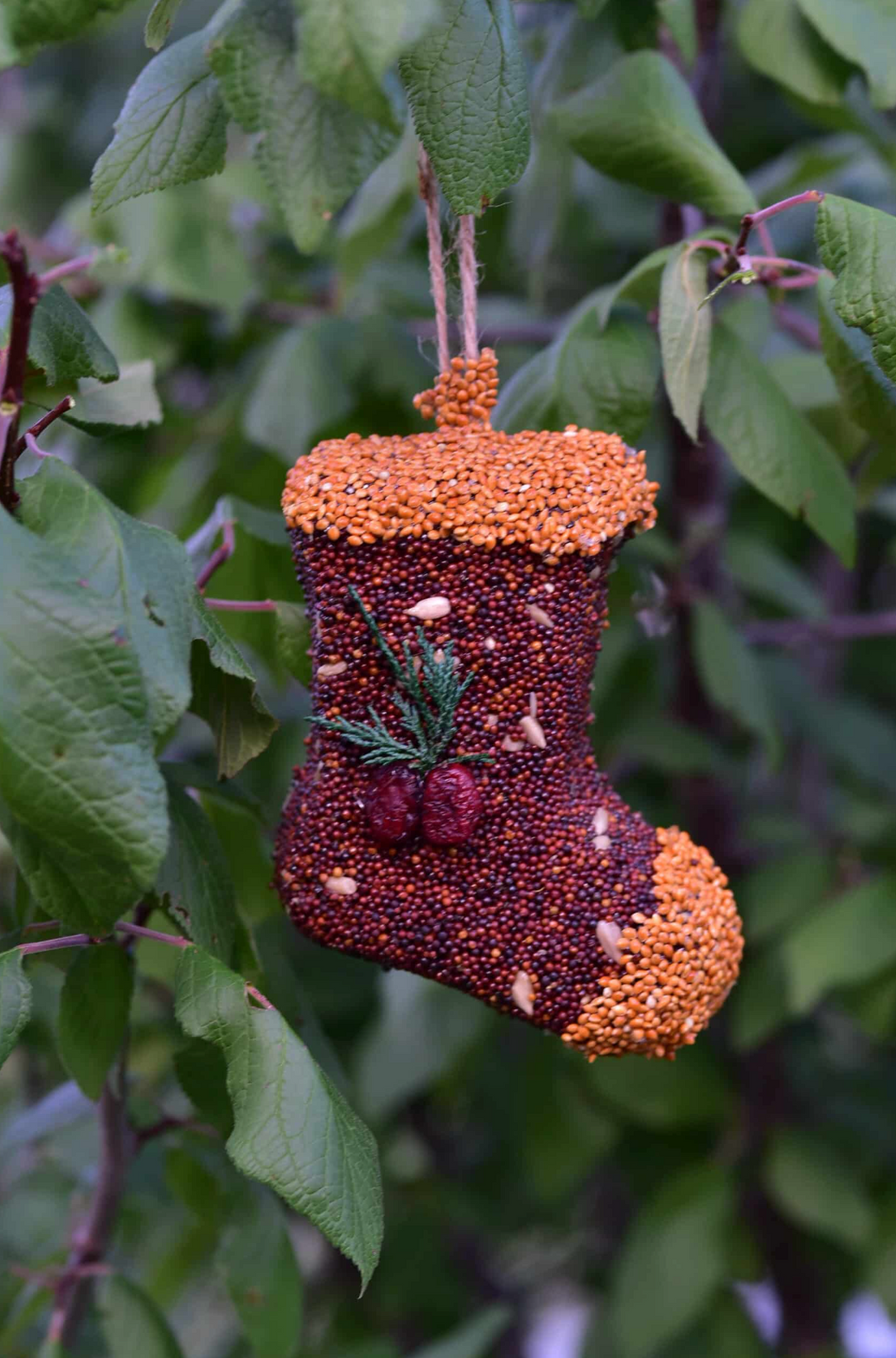Mr. Bird - Christmas Shaped Feeders (Stocking)