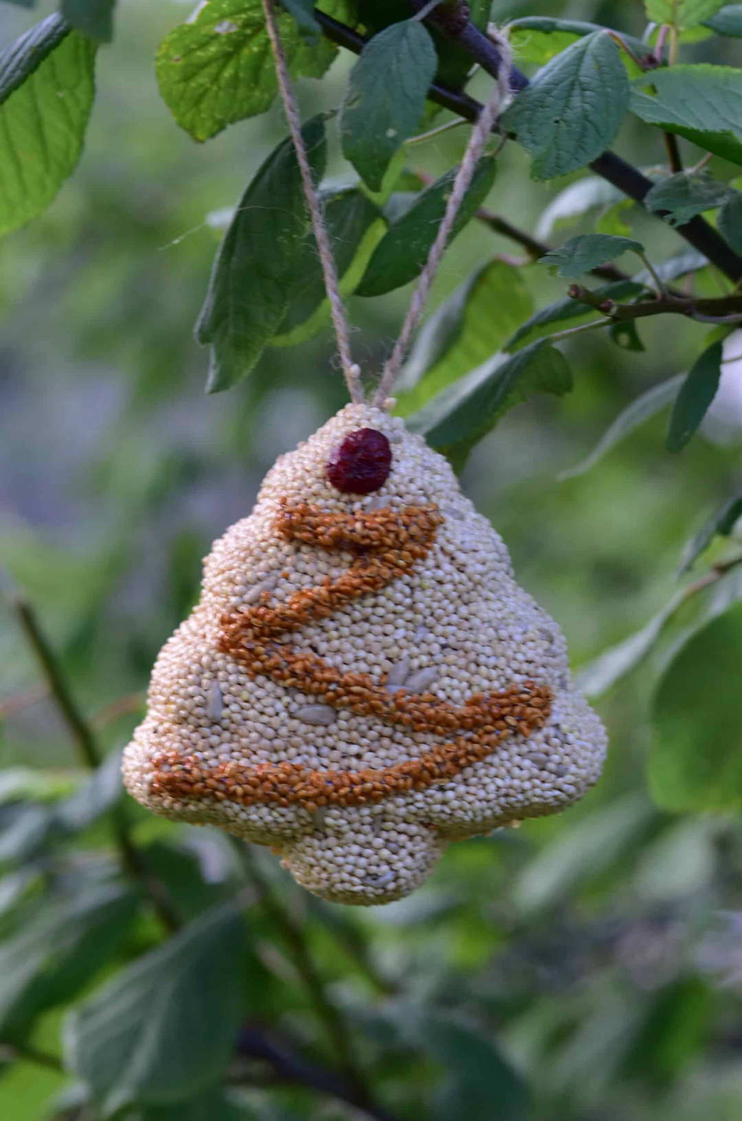 Mr. Bird - Christmas Shaped Feeders (Christmas Tree)
