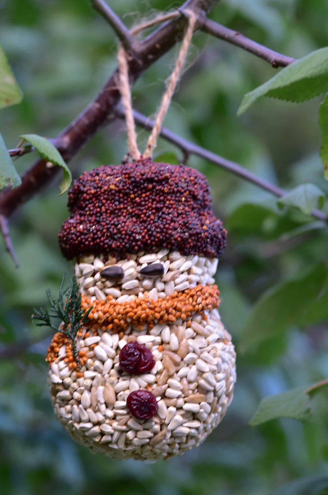 Mr. Bird - Christmas Shaped Feeders (Snowman)