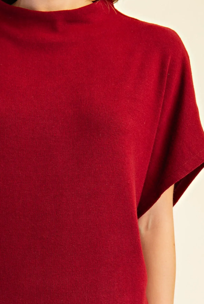 Estelle - Mock Neck Knit Top (Maroon)