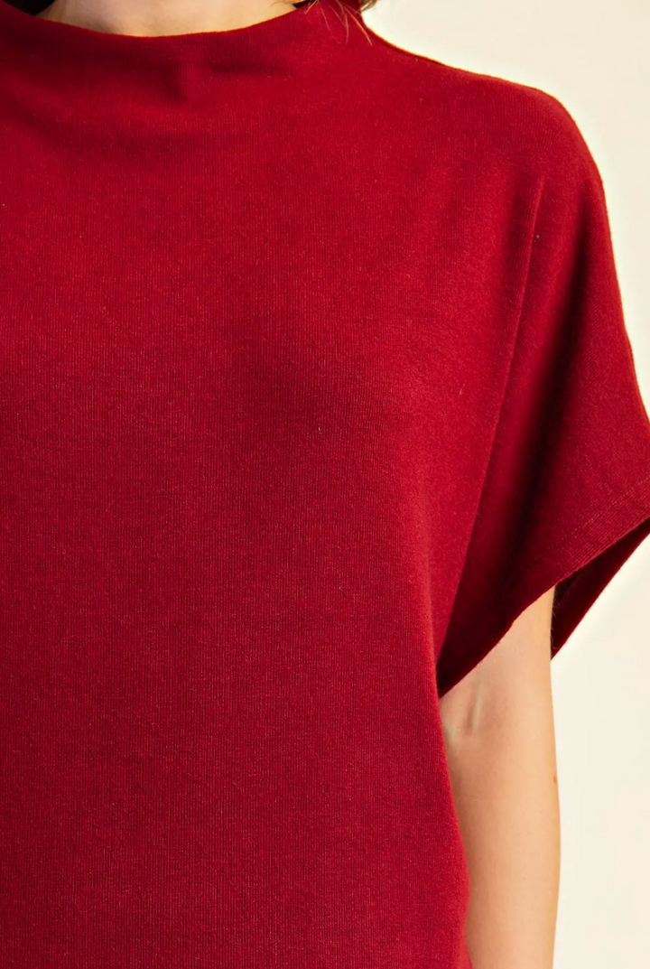 Estelle - Mock Neck Knit Top (Maroon)