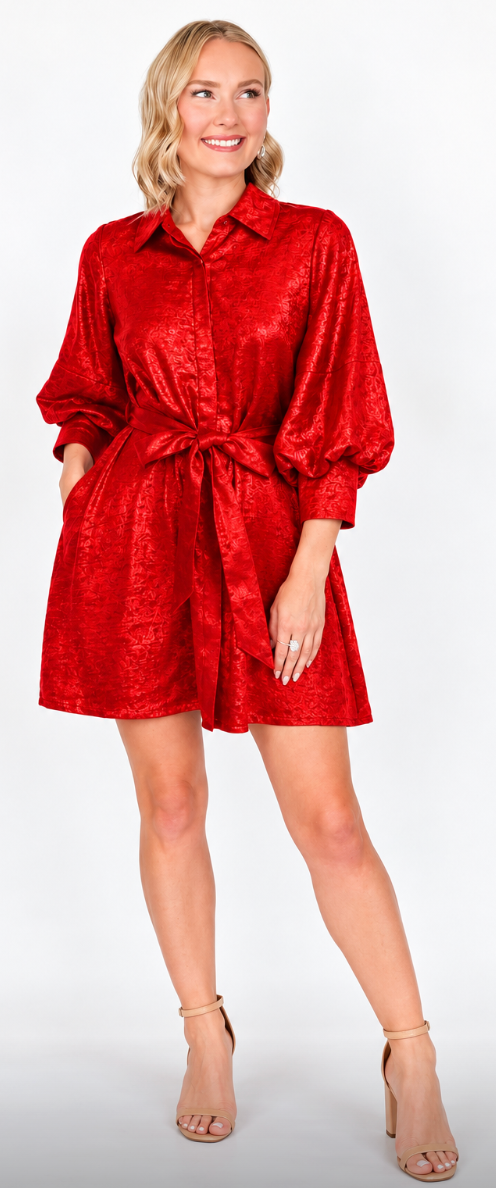Alice - Button Down Metallic Dress