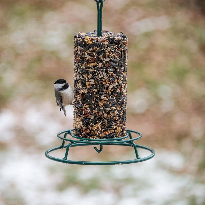 Mr. Bird - Steel EZ Feeder