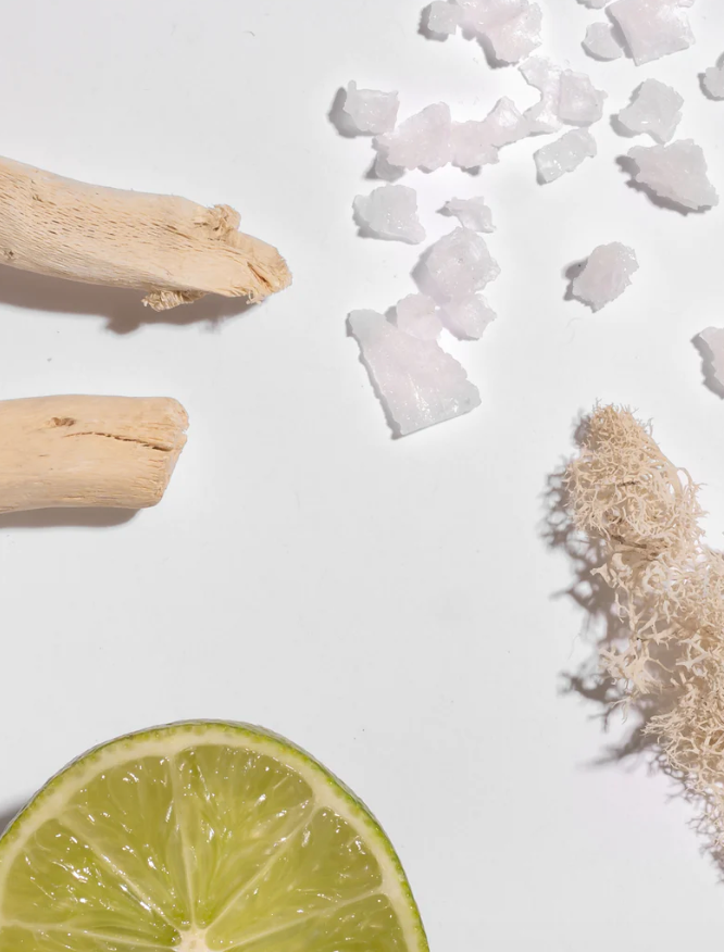 Pura Refill - Maui (Brooklyn Candle Studio)